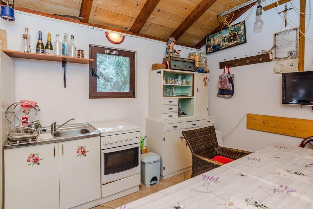 Apartment Roko - Up To 4 People With Free Parking Zadar Ngoại thất bức ảnh